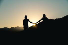 Deciphering the Function of Purpose in Social Actions
